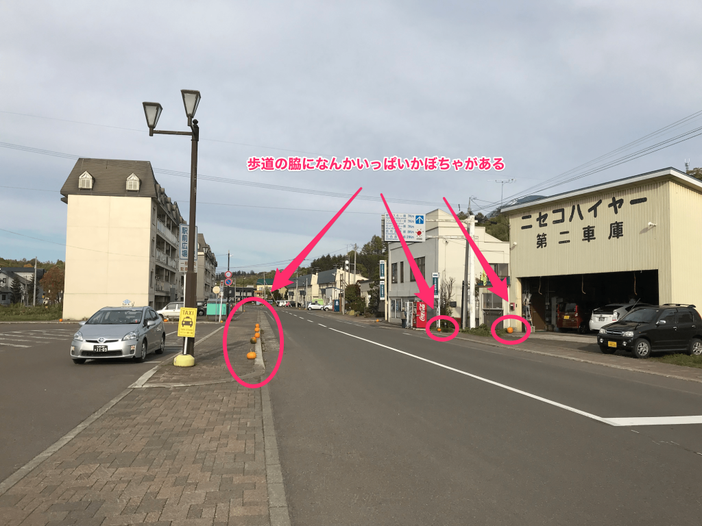 道に転がるかぼちゃ